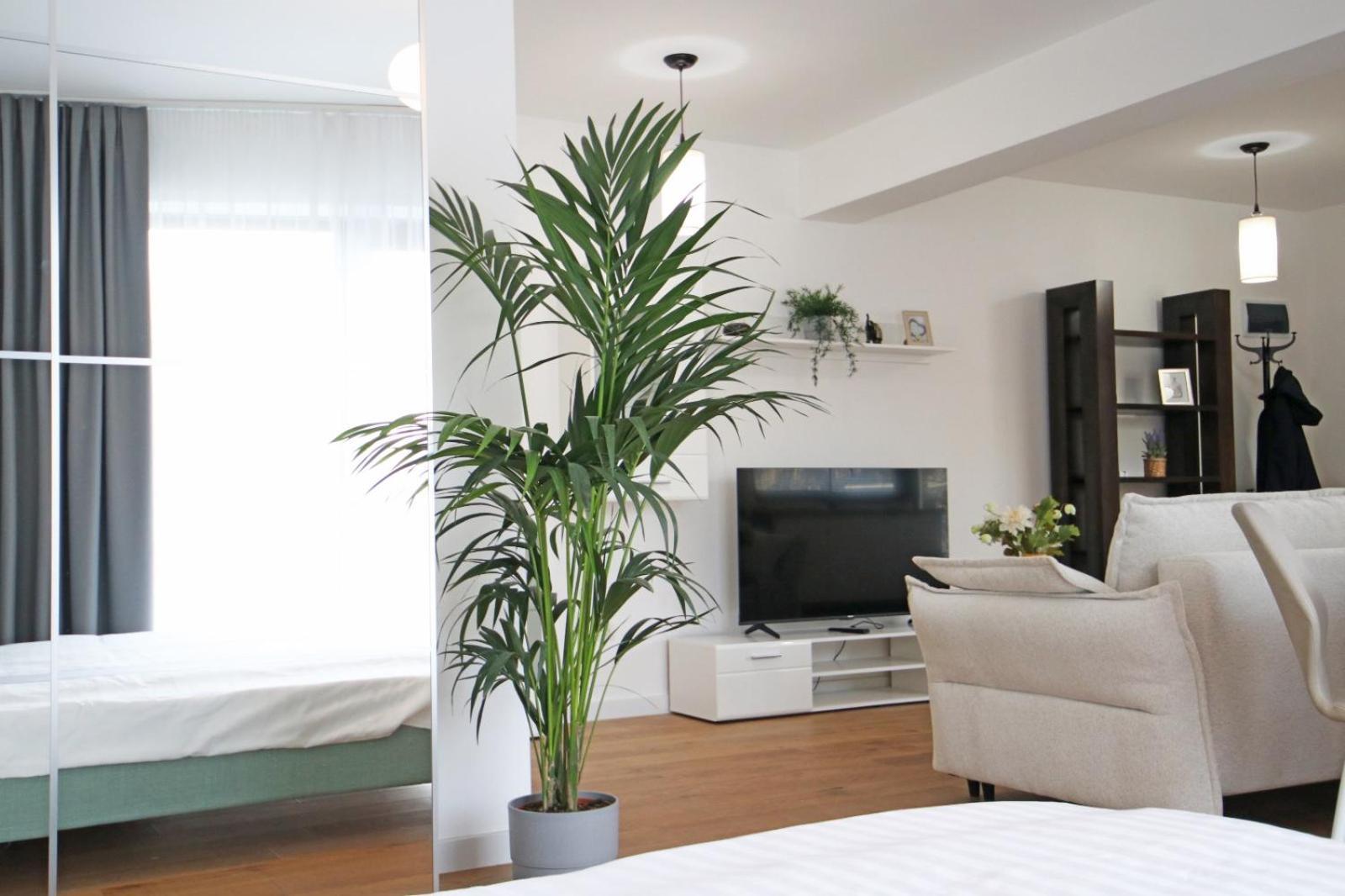 Appartement Nicolae Caramfil à Bucarest Extérieur photo